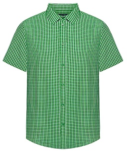 Рубашка в клетку для мужчины, цвет зеленый - Серия Basic. Состав: 100% хлопок. Страна производства: Бангладеш. Цена 1 399 руб